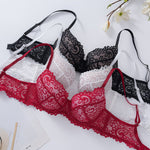 Ensemble 3 pièces en dentelle élégante