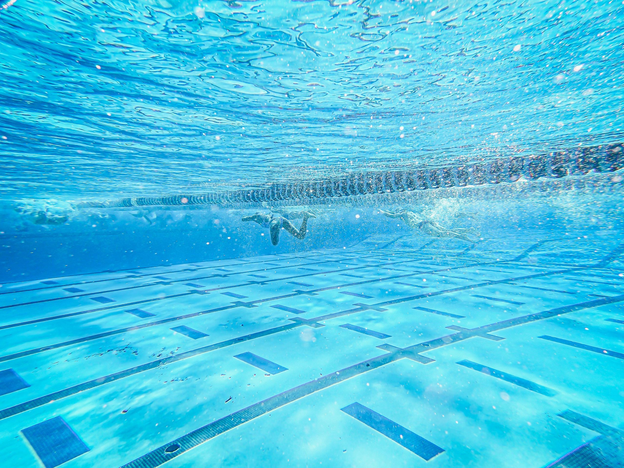 Comparaison des effets de la natation selon la fréquence