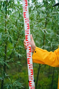 Crop anonyme d'un agriculteur debout près des arbres et mesurant la hauteur des plantes dans un jardin